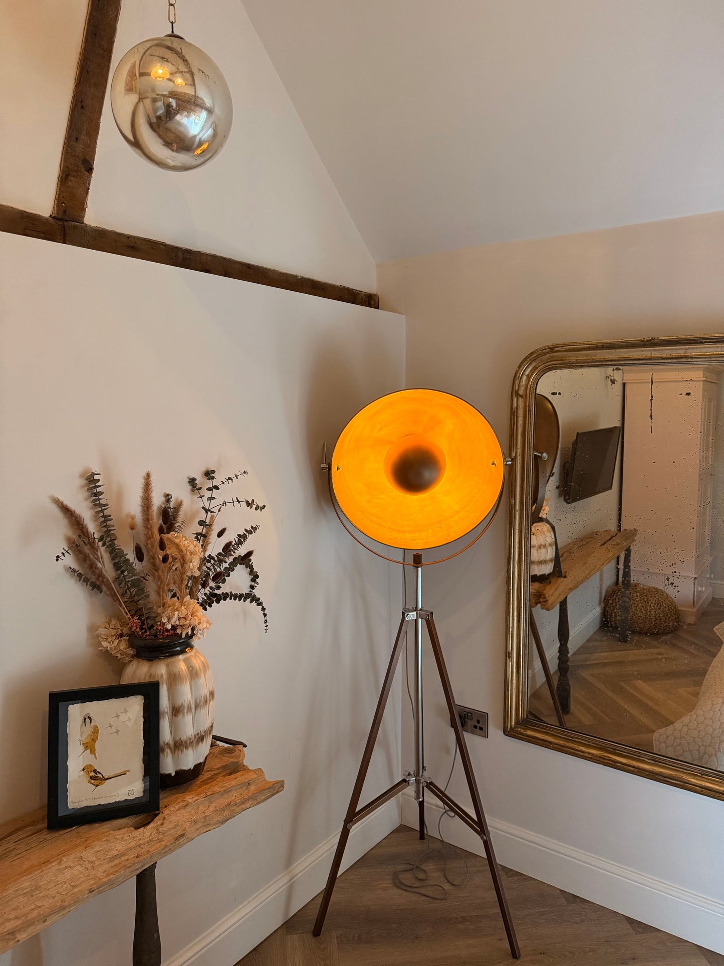 Bearded Tit (Panurus biarmicus)