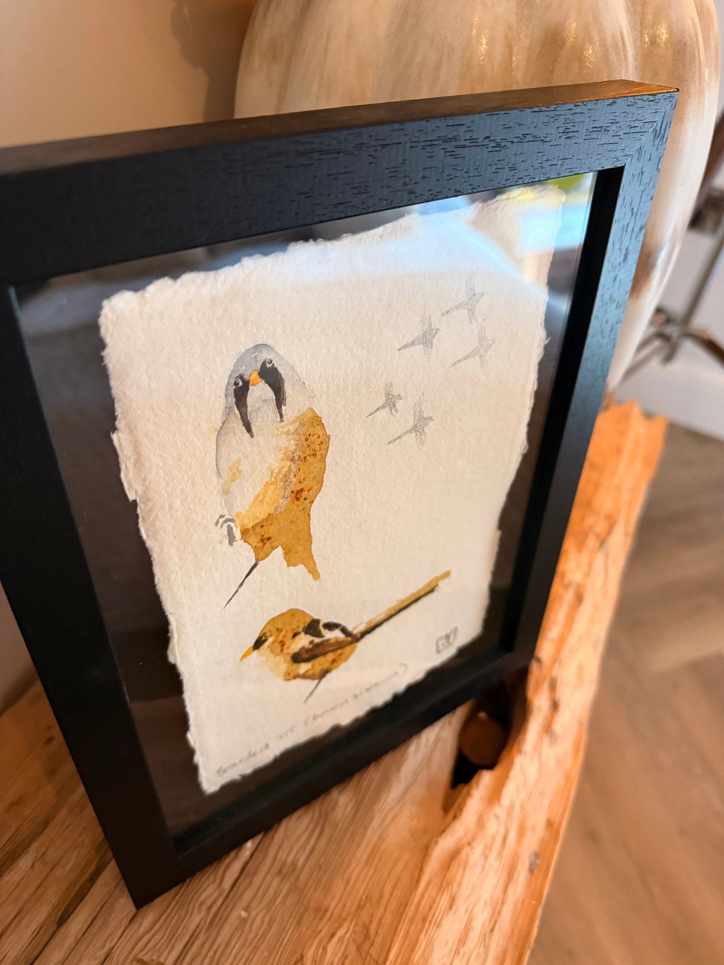 Bearded Tit (Panurus biarmicus)