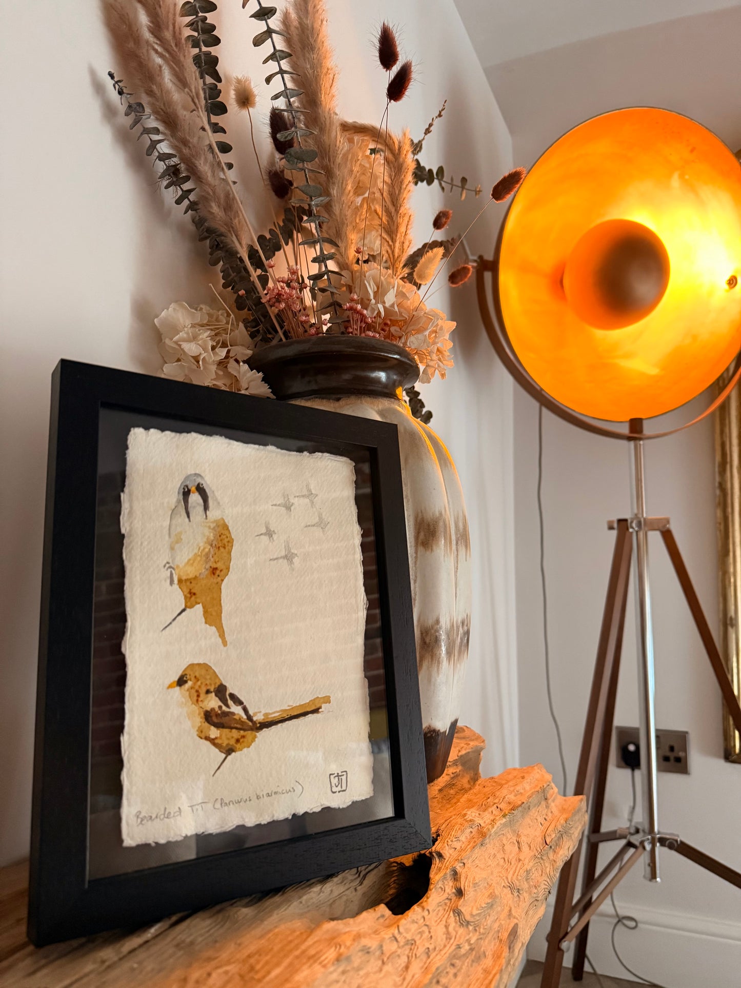 Bearded Tit (Panurus biarmicus)