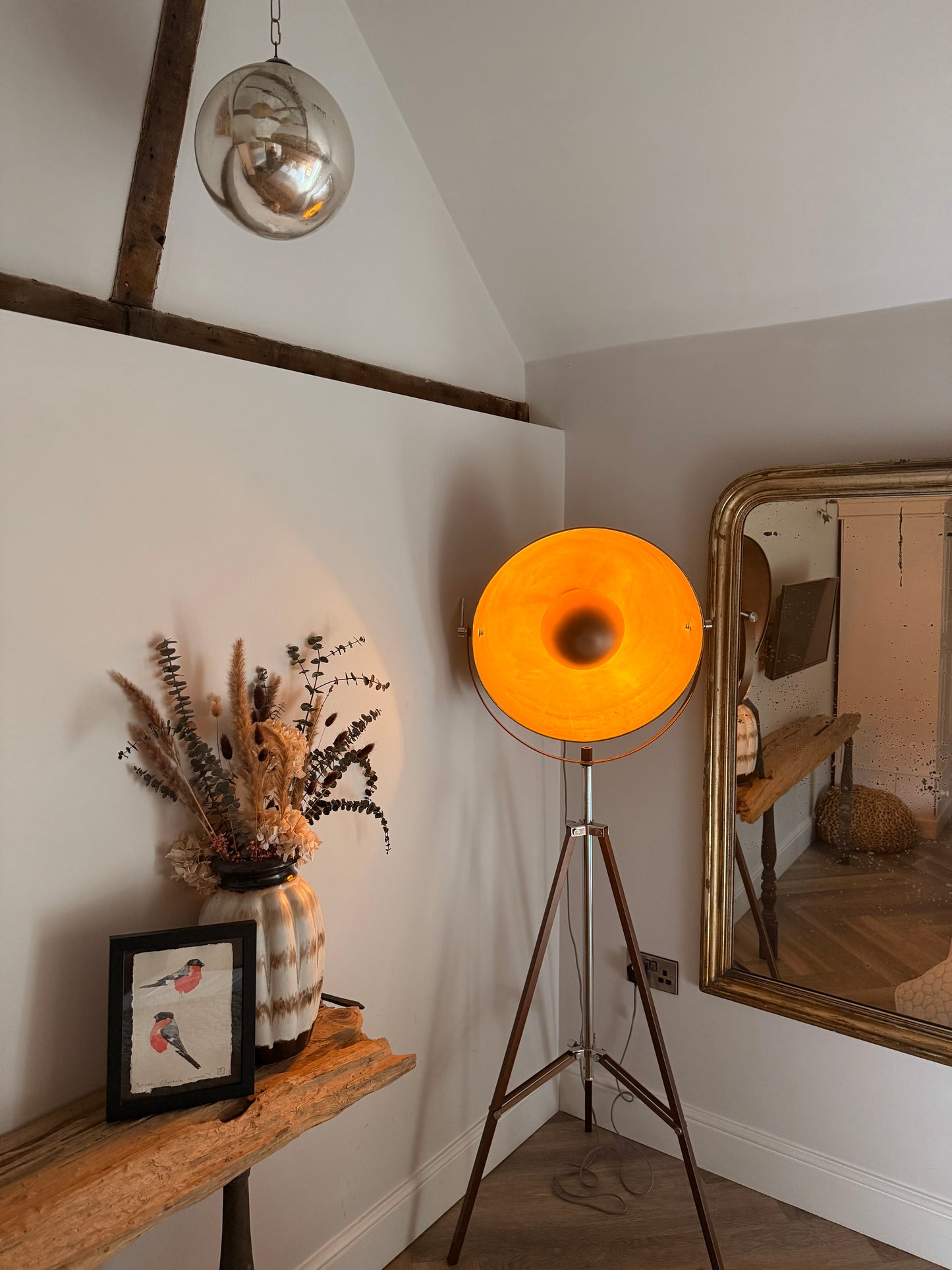 Ballfinch (Pyrrhula pyrrhula)