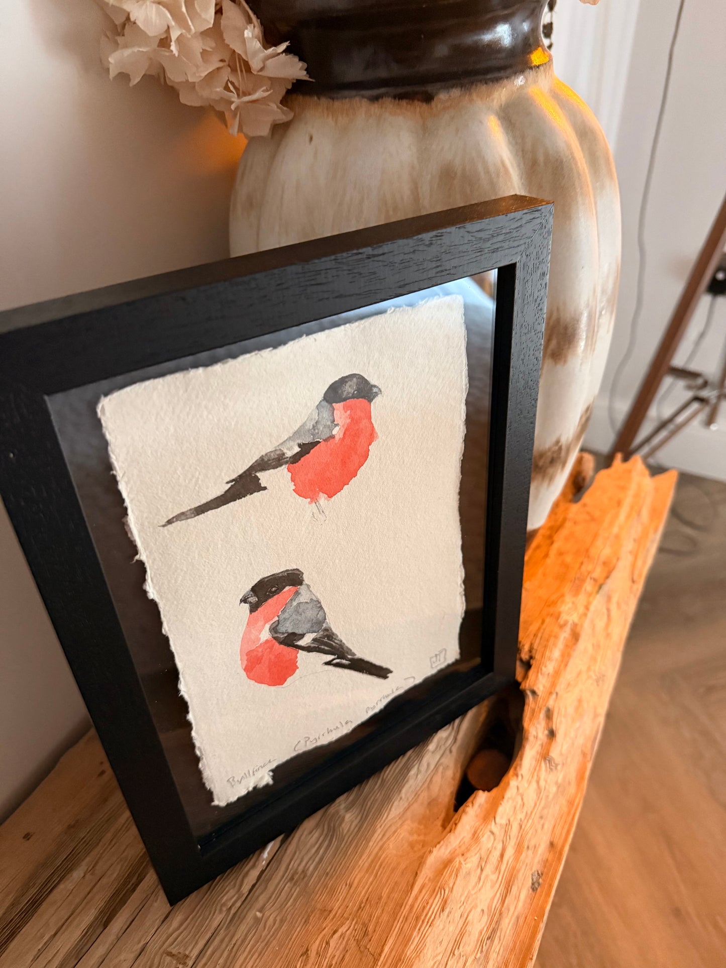 Ballfinch (Pyrrhula pyrrhula)