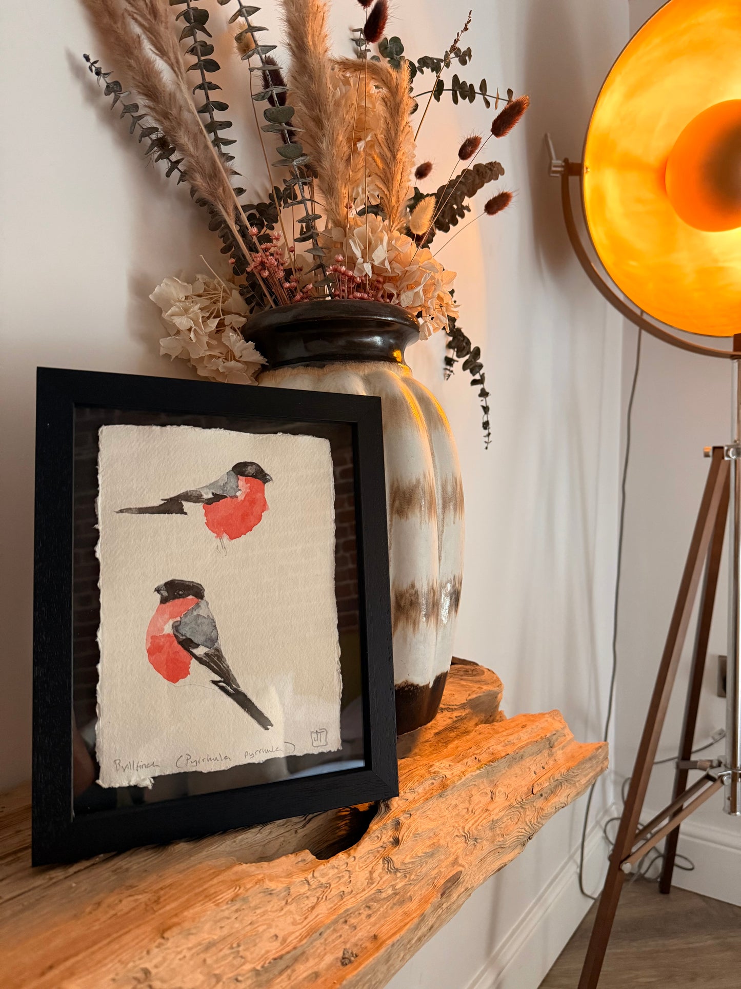 Ballfinch (Pyrrhula pyrrhula)