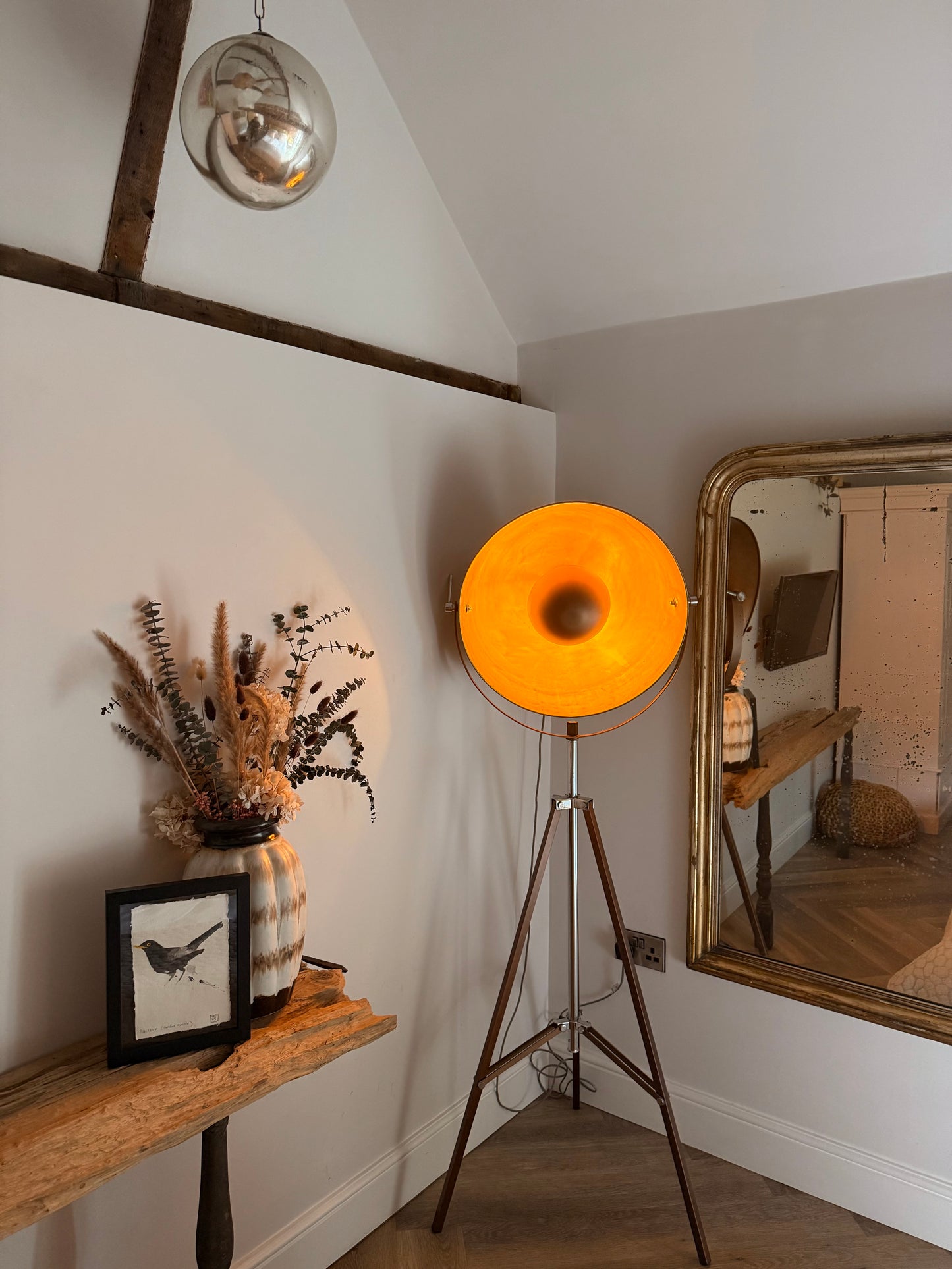 Blackbird (Turdus merula)