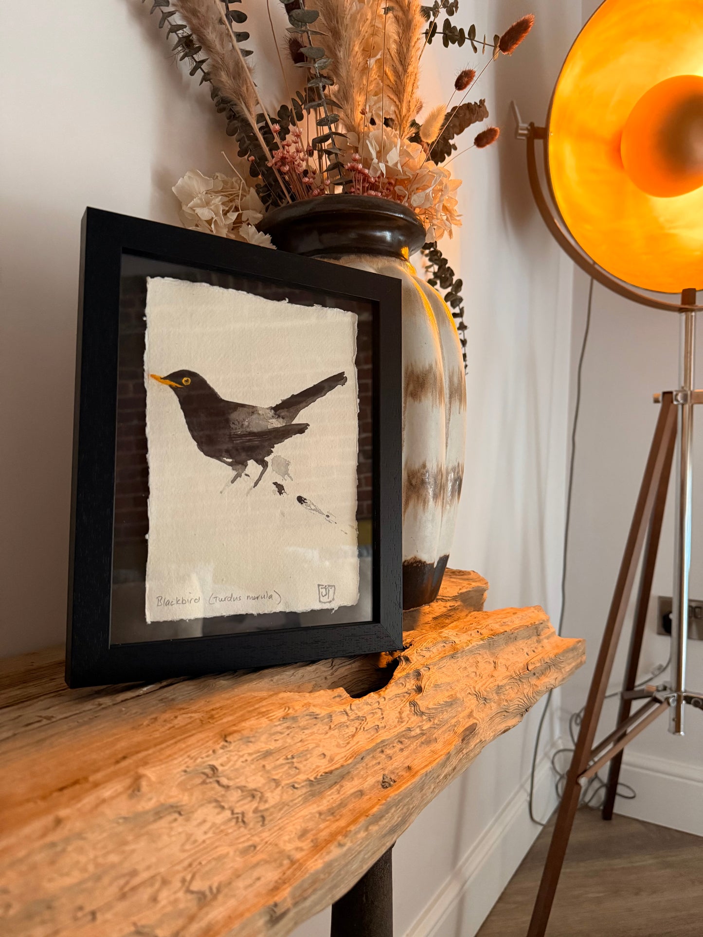 Blackbird (Turdus merula)