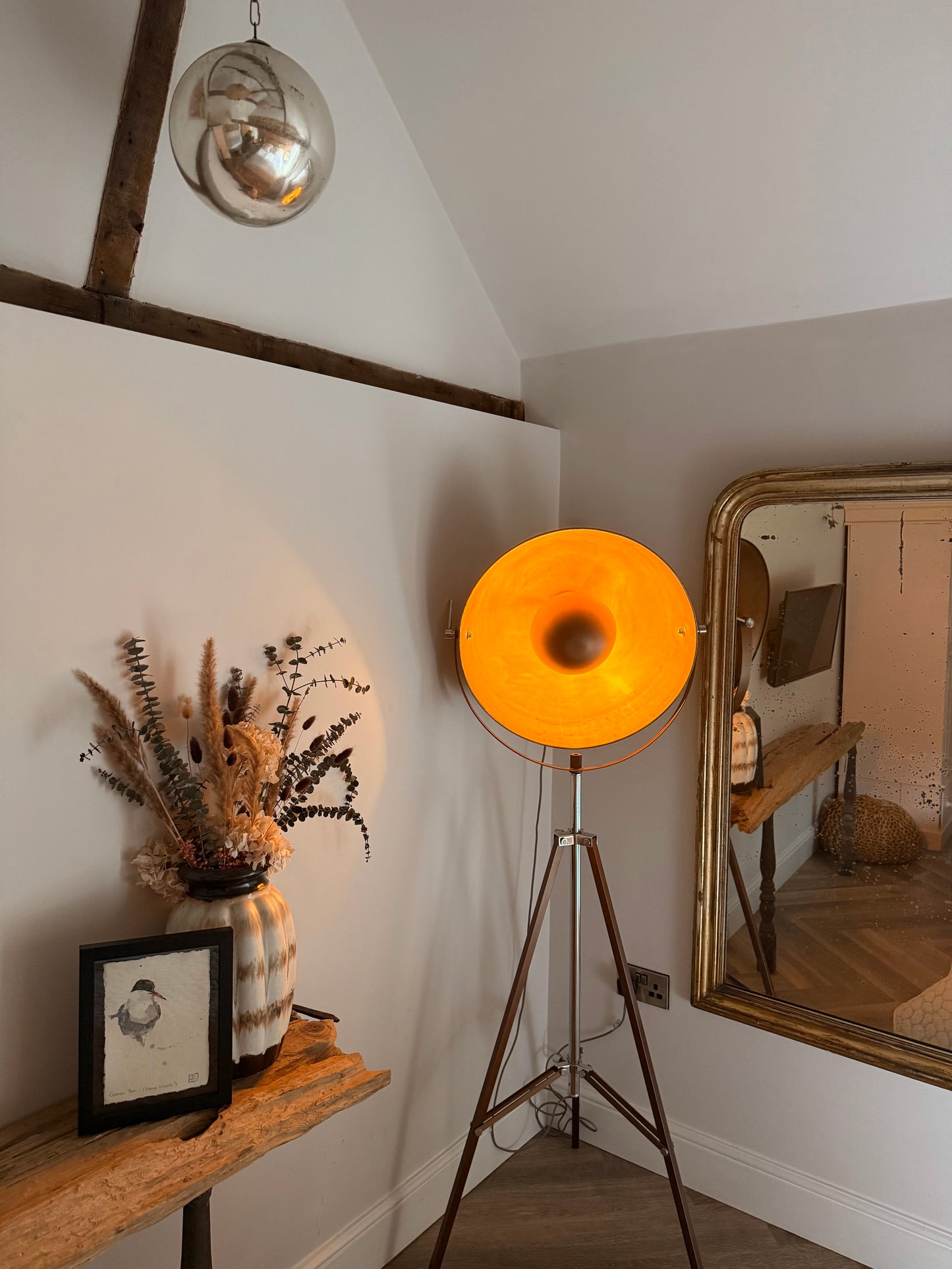 Common Tern (Sterna hirundo)