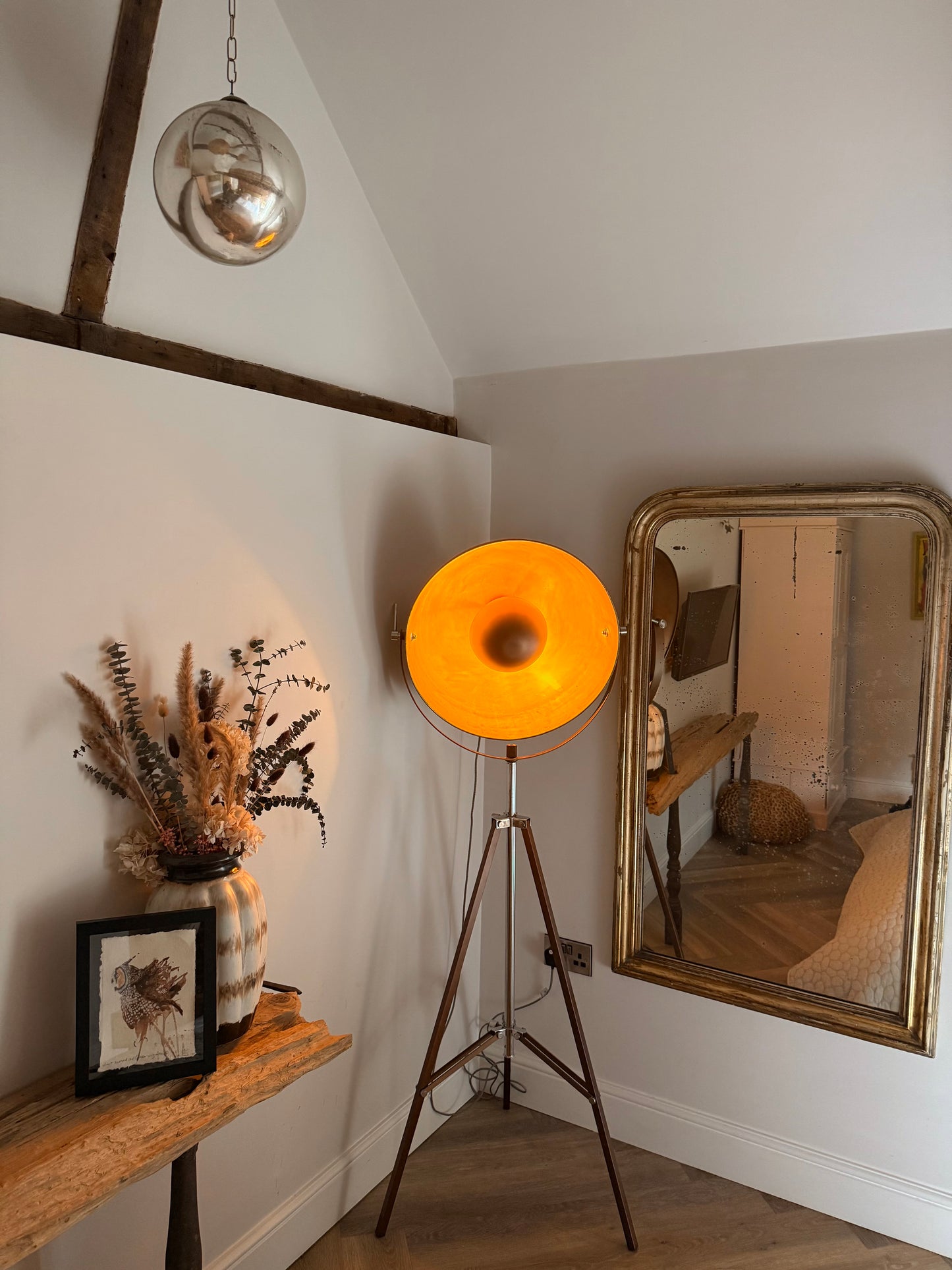 Great Horned Owl (Bubo virginianus)