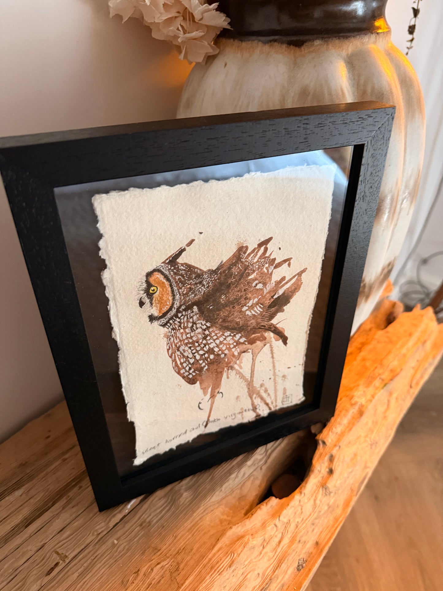 Great Horned Owl (Bubo virginianus)