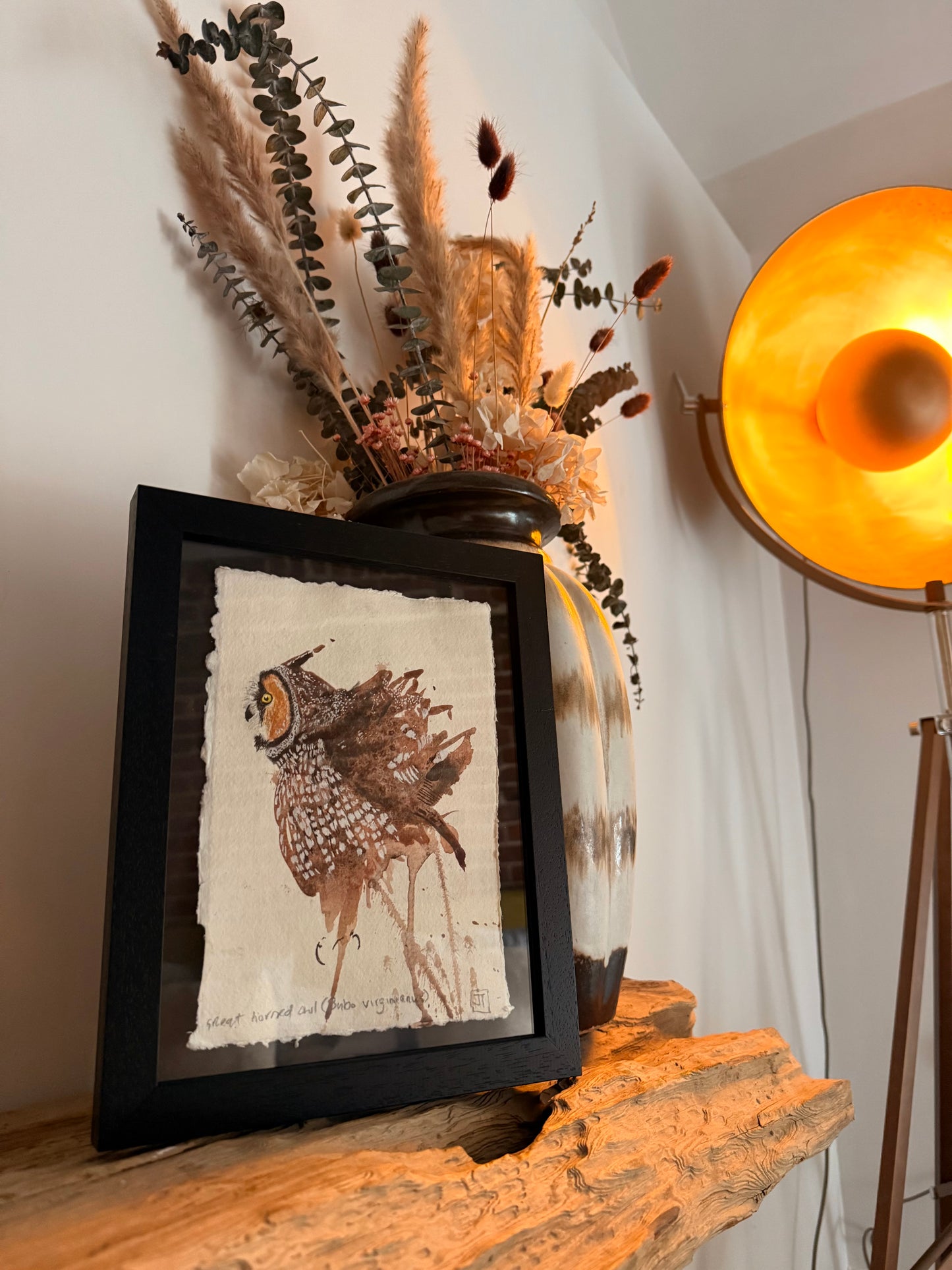 Great Horned Owl (Bubo virginianus)