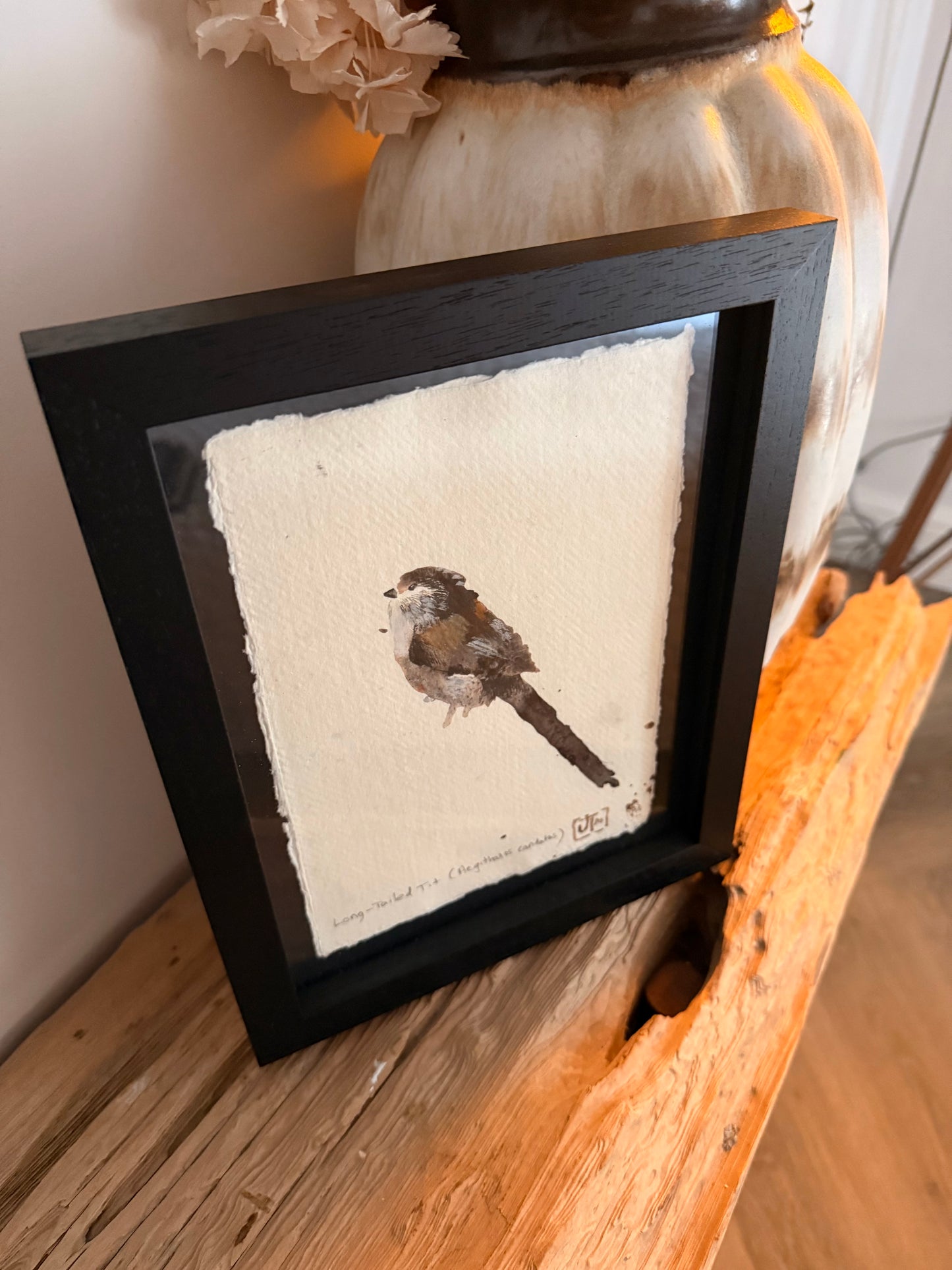 Long-Tailed Tit (Aegithalos candaths)