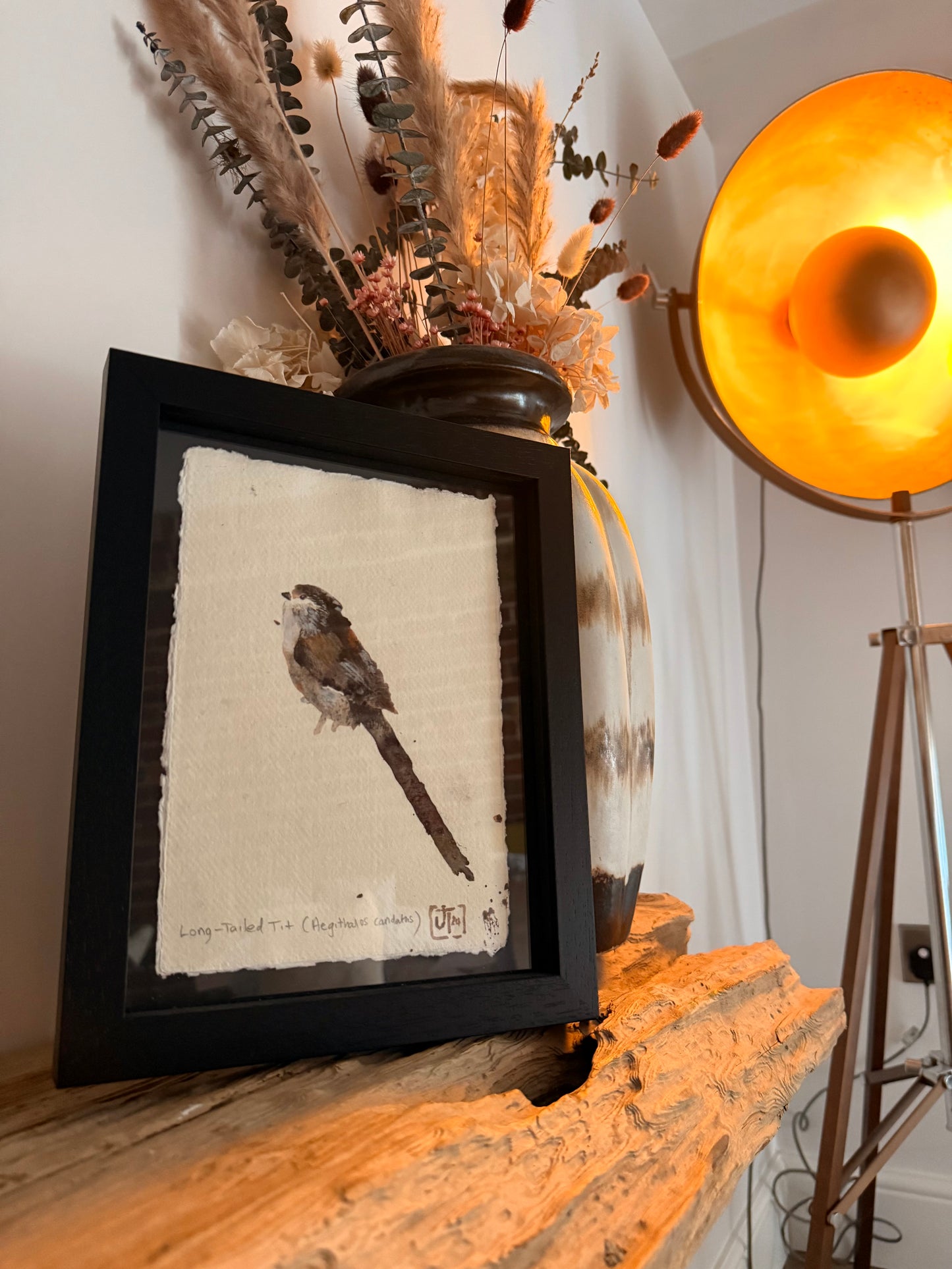 Long-Tailed Tit (Aegithalos candaths)