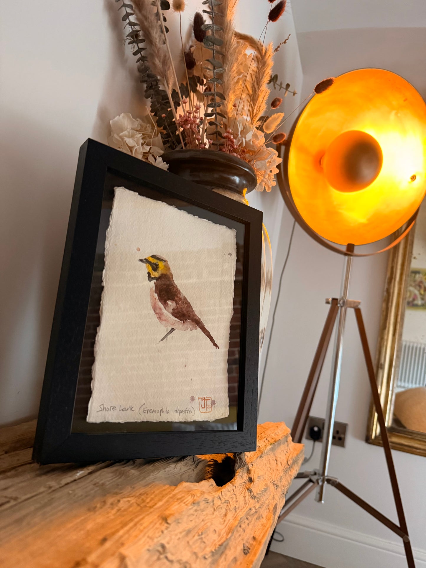 Shore Lark (Eremophila alpestris)