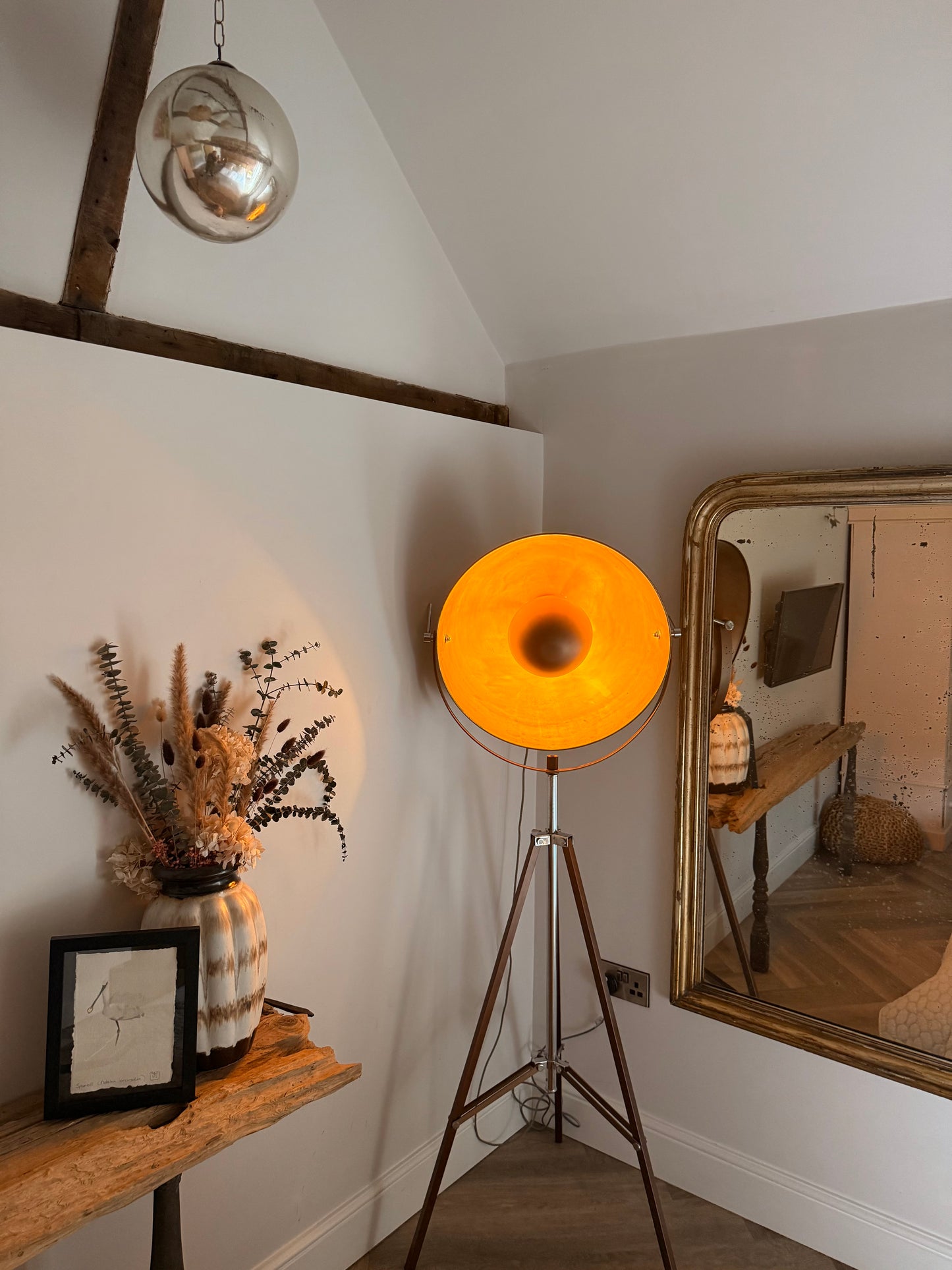 Spoonbill (Platalea leucorodia)