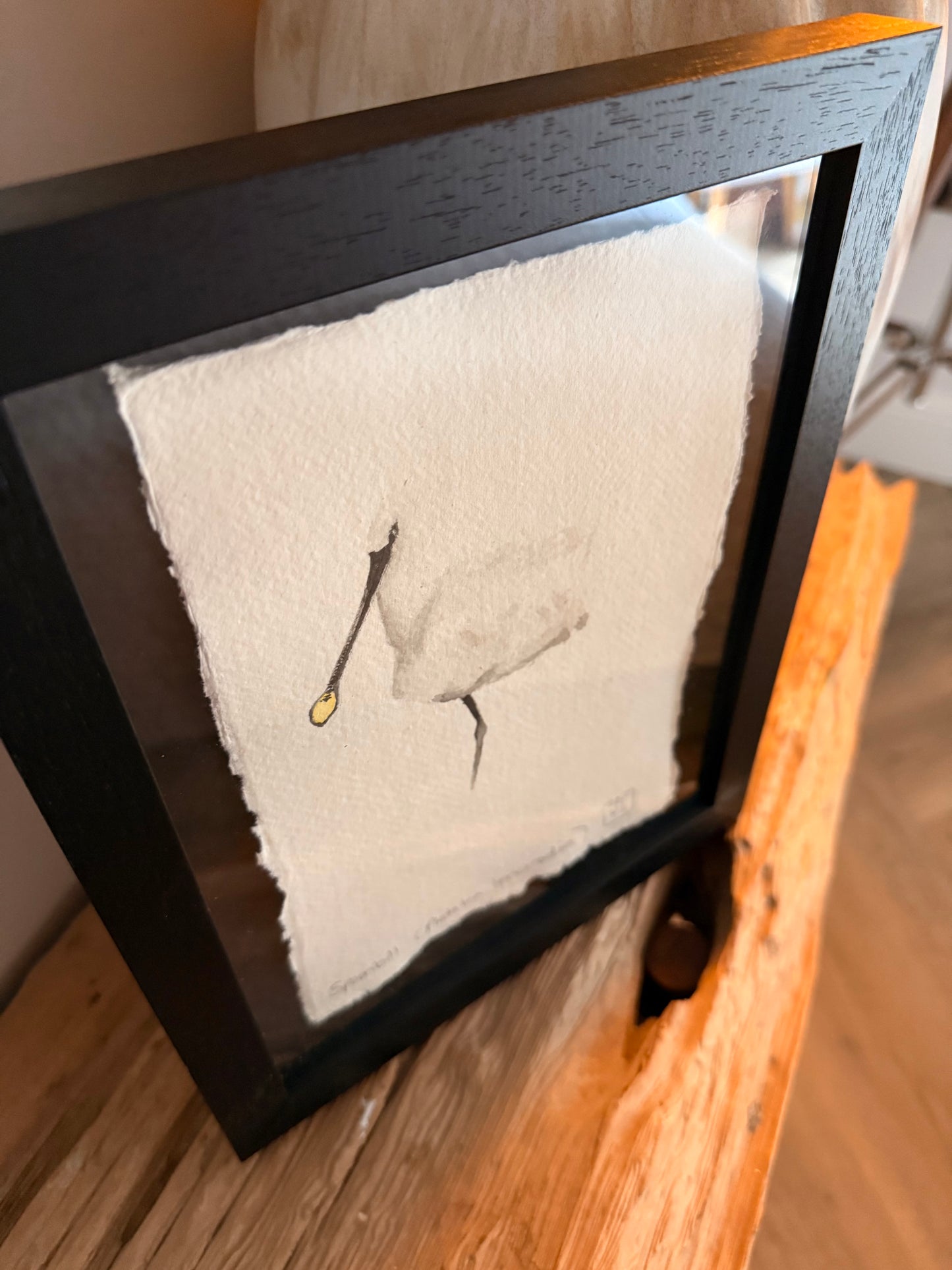 Spoonbill (Platalea leucorodia)