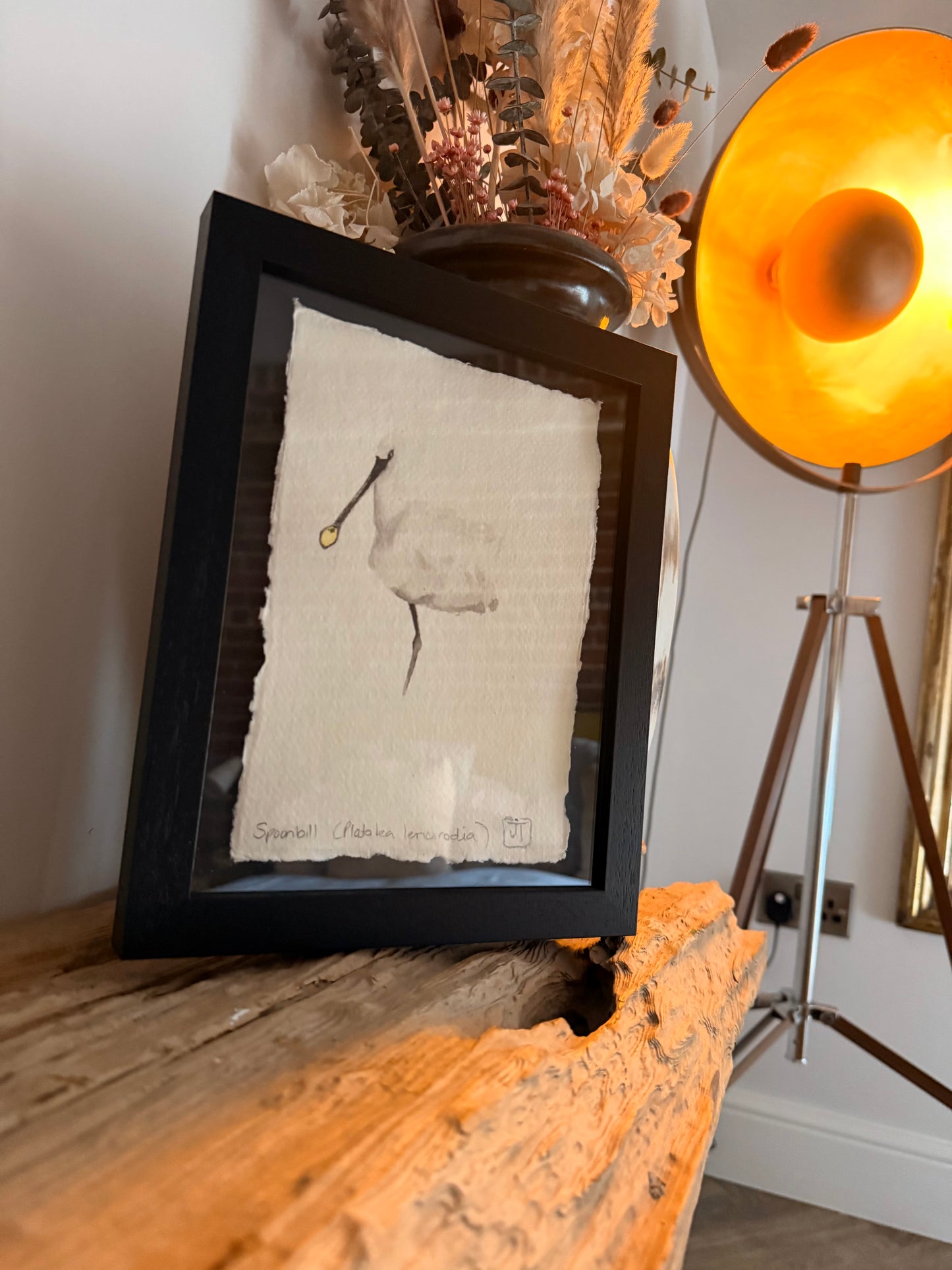 Spoonbill (Platalea leucorodia)