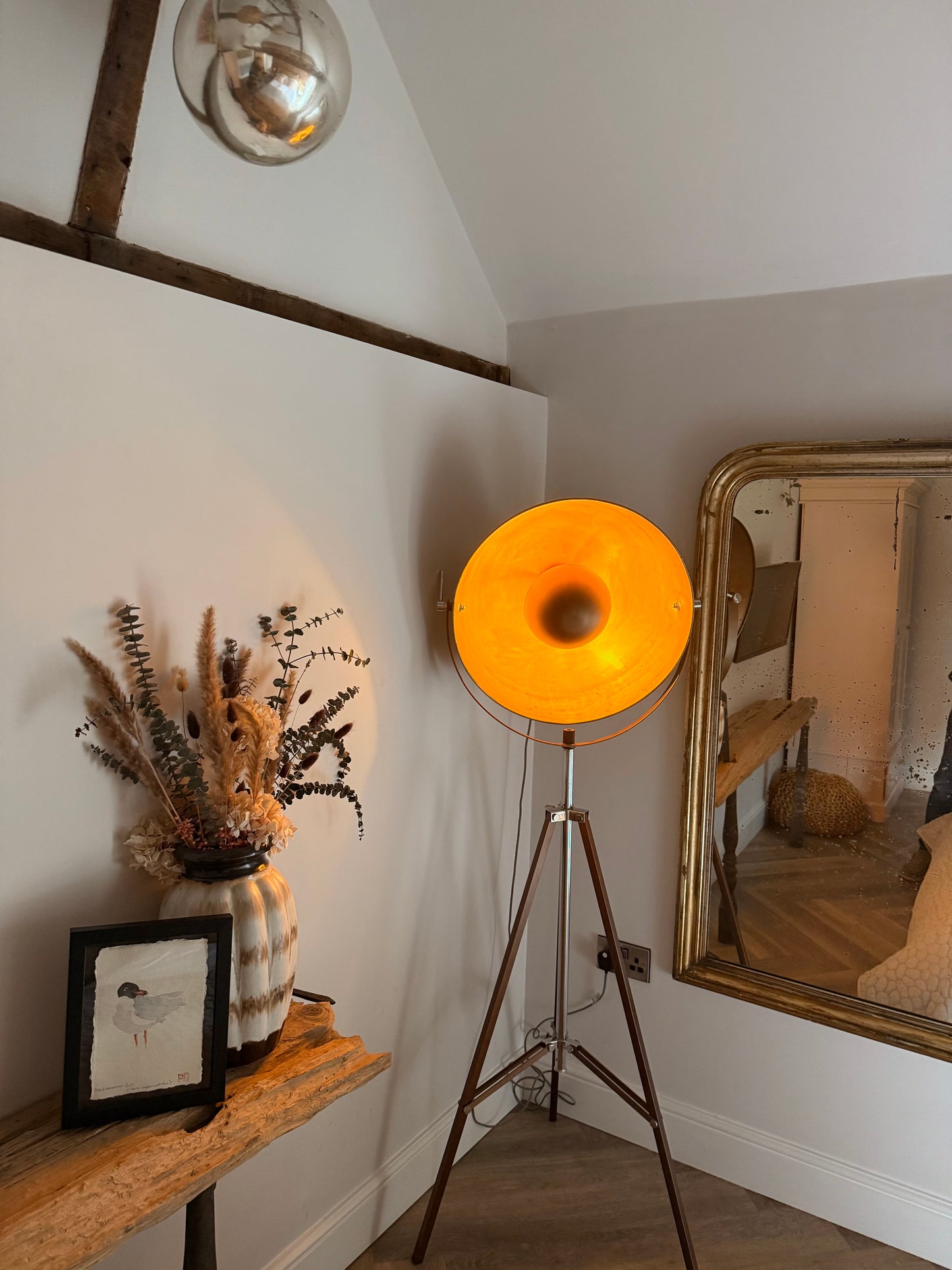 Mediterranean Gull (Larus melanocephalus)