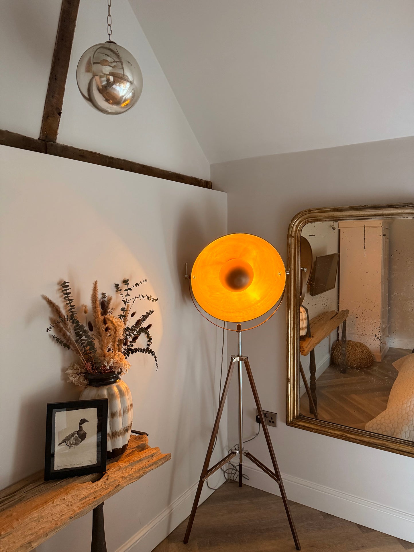 Brent Goose (Branta bernicla)