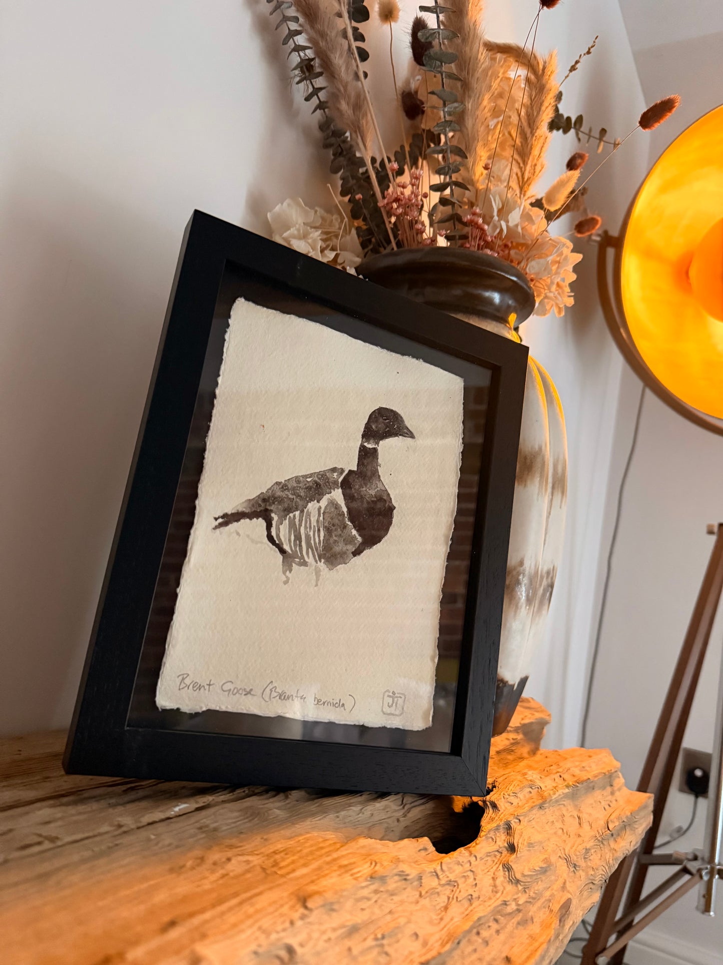 Brent Goose (Branta bernicla)