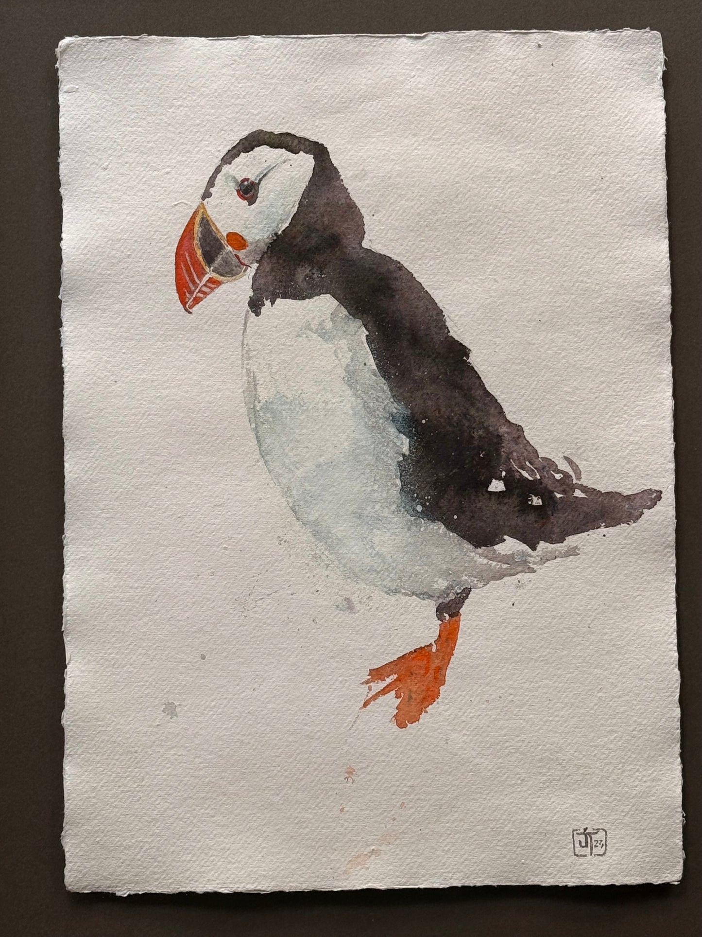 Puffin