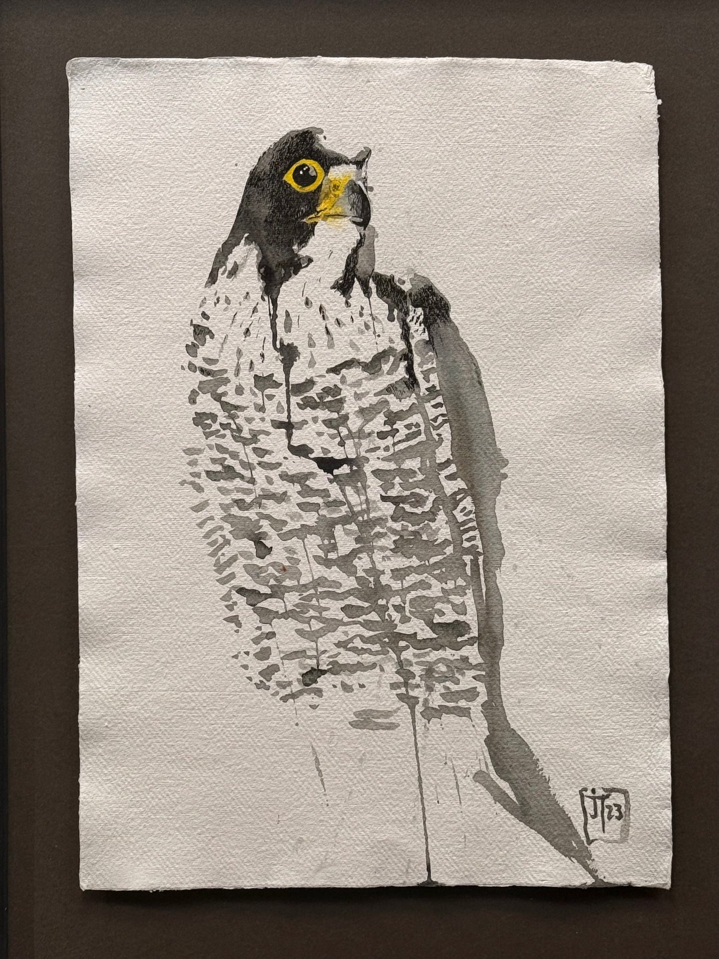 Peregrine