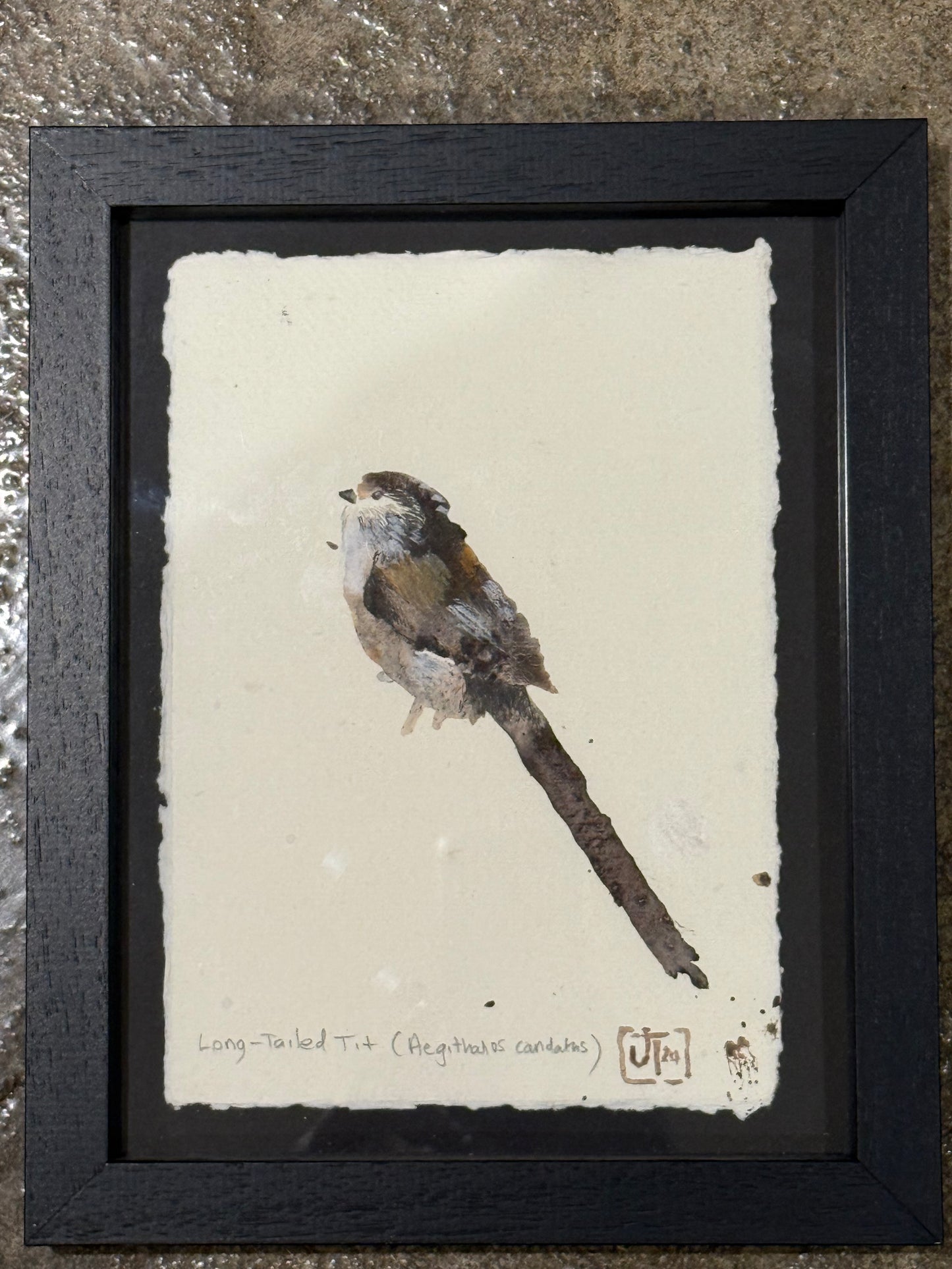 Long-Tailed Tit (Aegithalos candaths)